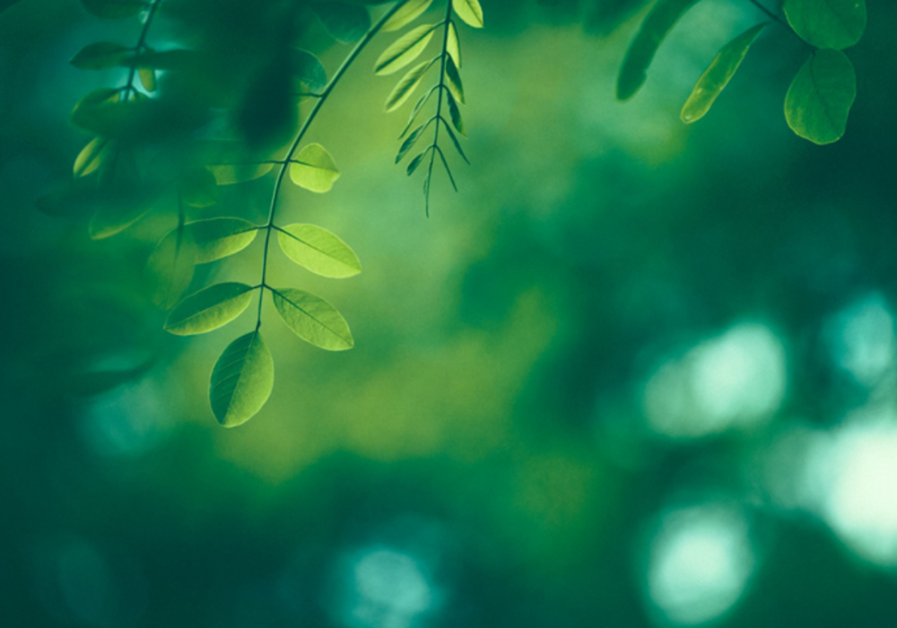 環境対応印刷をフルサポート